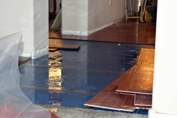 Professional Basement Flood Cleanup technician working in Helenwood, TN